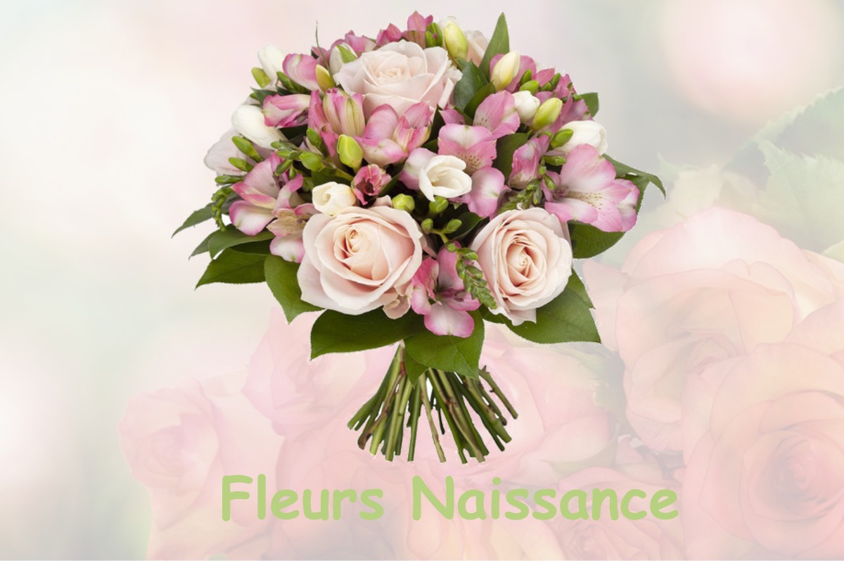 fleurs naissance PAROY-SUR-SAULX